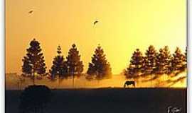 Campo Magro - Natureza viva