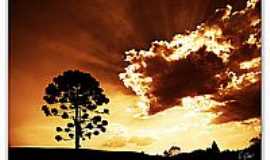 Campo Magro - Pr-do-Sol