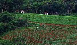 Campo Magro - Zona rural