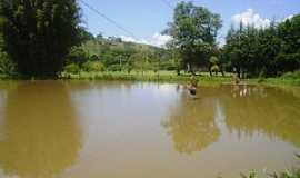 Campo Mouro - Campo Mouro-PR-Lago no Parque Joaquim Teodoro de Oliveira-Foto:Lindinha Rodrigues