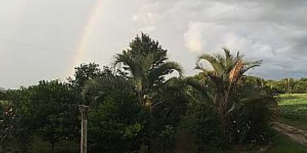 Imagens do Distrito de Capo Bonito no Municpio de Lapa-PR