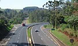 Caramuru - Viaduto do Caramuru-Foto:jos carlos farina