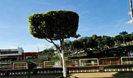 Gandu - Gandu-BA-Praa e o rio no centro da cidade-Foto:Caio Graco Machado