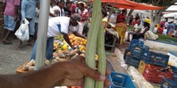 Diversidades da horta/feira de Geolândia-BA, Por José Tavares de Lira