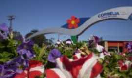 Corblia - O portal de entrada mostra a beleza das flores e tambm das cachoeiras existentes no municpio, Por Zenilda (diretora do depto de turismo do municpio)