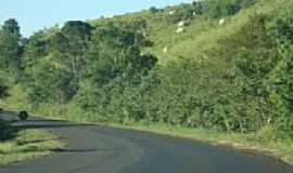 Doutor Antnio Paranhos - Gado e estrada em Doutor Antnio Paranhos-Foto:Emerson Novalski