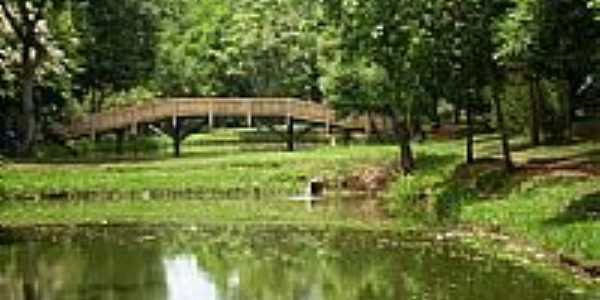 Ponte sobre o lago do Pesque Pague de Faxina-Foto:@DiegoFaxina2