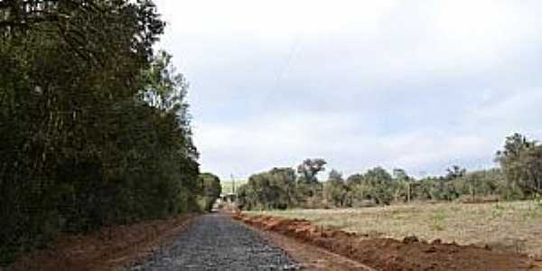 Imagens do Distrito de Faxinal dos Elias, Municpio de So Mateus do Sul/PR