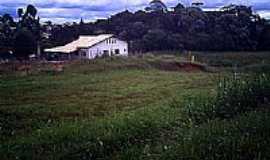 Fazenda Rio Grande - Chcara-Jardim Eucalptos-Foto:Di Barbosa 