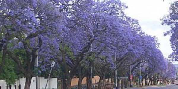 Imagens da cidade de Fnix - PR