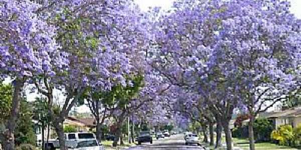 Imagens da cidade de Fnix - PR