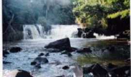 Flora - cachoeira estrada Paranhos, Por Walter Bento