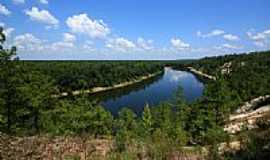 Flrida - Rio Apalachicola