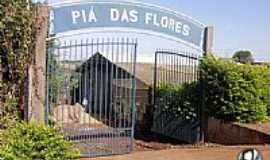 Formosa do Oeste - PROJETO PA DAS FLORES