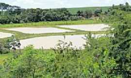 Iracema do Oeste - Criadouro de Peixes-Foto:Ricardo Mercadante 