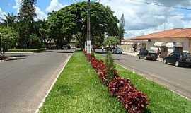 Jaboti - Jaboti-PR-Canteiro central da Avenida-Foto:Guilherme A.