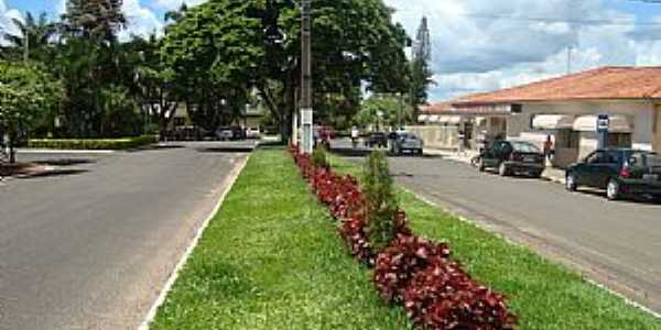 Jaboti-PR-Canteiro central da Avenida-Foto:Guilherme A.