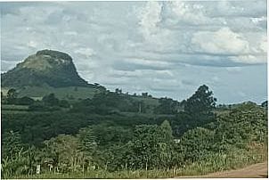 Pico agudo Japira, visto da vila Guay, Por OSVALDO VICENTE RODRIGUES