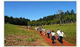 Lunardelli - Caminhada  - foto
Por Reinaldo Grola