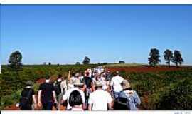 Lunardelli - Caminhada - Foto 
Por Reinaldo Grola