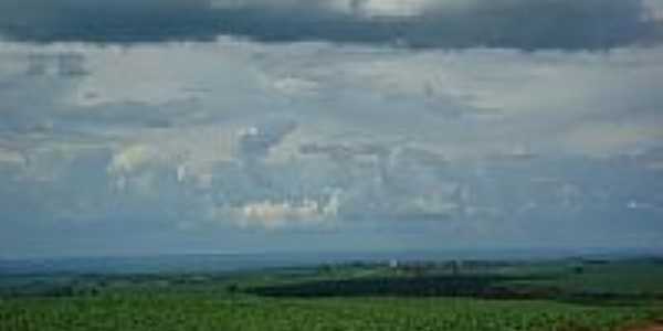 Campos de soja com o Distrito de Malu ao fundo-Foto:Joo Carlos Benetton