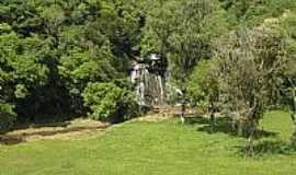 Mandirituba - Mandirituba-SC-Cachoeira entre a vegetao-Foto:Mauro Edson Swarofsky 