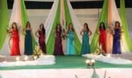 Missal - Miss Missal 2010, Por tathy