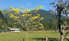 Morro Ingls - Imagens do distrito de Morro Ingls, Municpio de Paranagu/PR