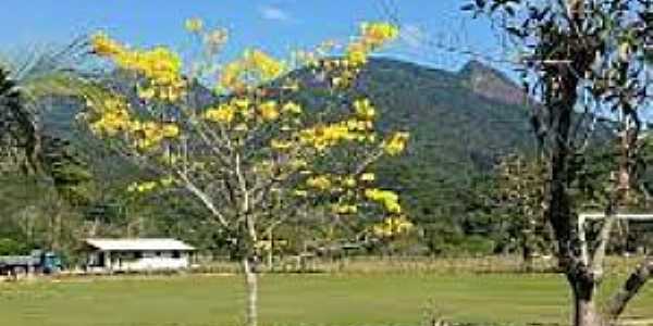 Imagens do distrito de Morro Ingls, Municpio de Paranagu/PR