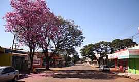 Paiandu - Av: Iva Centro - Foto Paianduagora