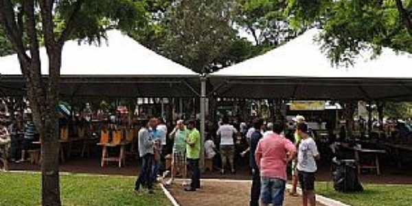 Imagens da localidade de Palmitpolis - PR Distrito de Nova Aurora - PR