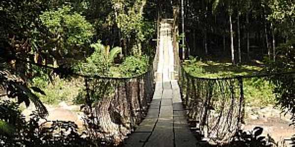 Imagens da localidade de Pedra Branca do Araraquara, Municpio de Guaratuba/PR
