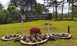 Pira do Sul - Imagem da cidade  de Pira do Sul - PR