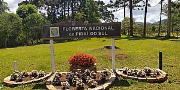 Imagem da cidade  de Pira do Sul - PR