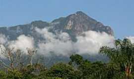 Porto de Cima - Serra do Mar-Foto:Reni Santos