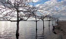 Porto Mendes - Porto Mendes-PR-Lago de Itaipu no Parque de Lazer Annita Wanderer-Foto:Ricardo Mercadante 