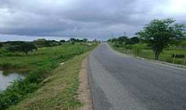 Carneiros - Carneiros-AL-Chegando na cidade-Foto:valderi ferreira