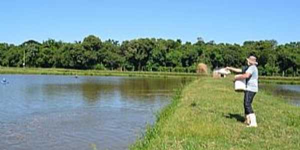 Imagens da cidade de Quatro Pontes - PR