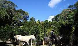 Rio Branco do Sul - Imagem rural-Foto:Joo Manoel 