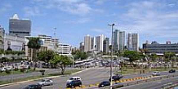 Avenida-Foto:cerrado