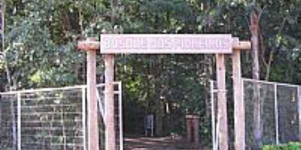 Santa Terezinha de Itaip-PR-Entrada Sul do Bosque dos Pioneiros-Foto:Bruno_Spricigo