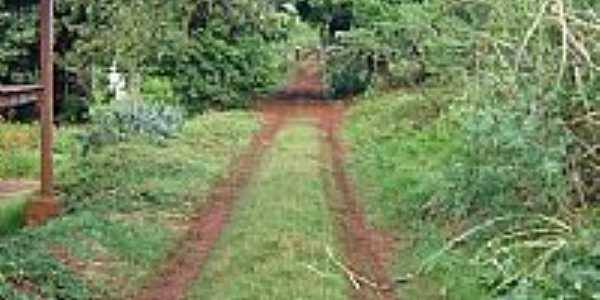 Entrada da Fazenda Josana em Santo Antnio do Palmital-Foto:pellegrini32