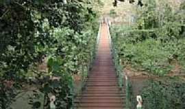 So Pedro do Iguau - Ponte Pnsil na Reserva Florestal Cabea de Cachorro em So Pedro do Iguau-PR-Foto:Artemio C.Karpinski