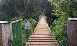 So Pedro do Iguau - Ponte Pnsil na Reserva Florestal Cabea de Cachorro em So Pedro do Iguau-PR-Foto:Artemio C.Karpinski