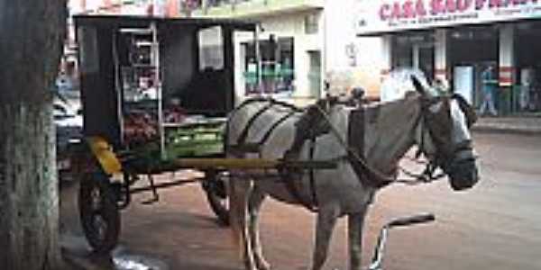 So Pedro do Iva-PR-Um dos transportes usados na cidade-Foto:cleucia_marcos