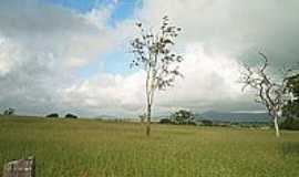 Ipir - Serto da Bahia - foto Antnio L. de Souza