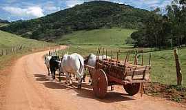 So Salvador - Imagens da comunidade So Salvador, Municpio de Cascavl/PR