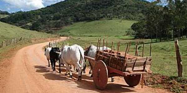 Imagens da comunidade So Salvador, Municpio de Cascavl/PR