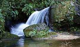 Sengs - Cachoeira  Erva Doce