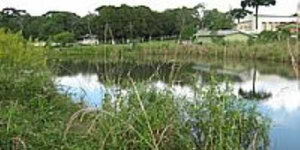 Lago em Timbu Velho-Foto:Catossi